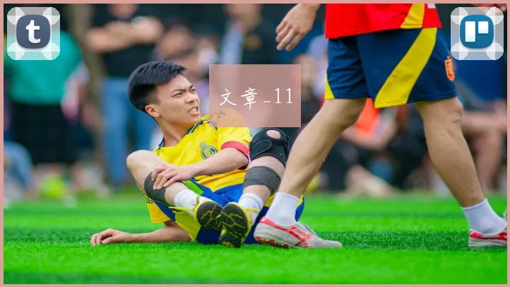 文章_11