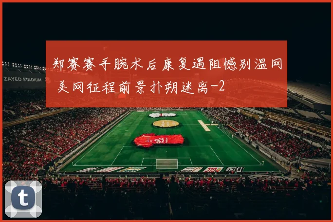郑赛赛手腕术后康复遇阻憾别温网 美网征程前景扑朔迷离