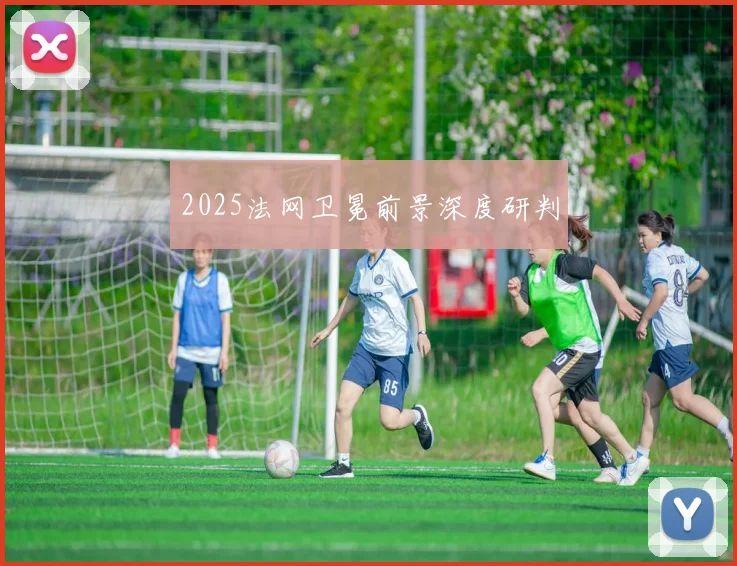 2025法网卫冕前景深度研判