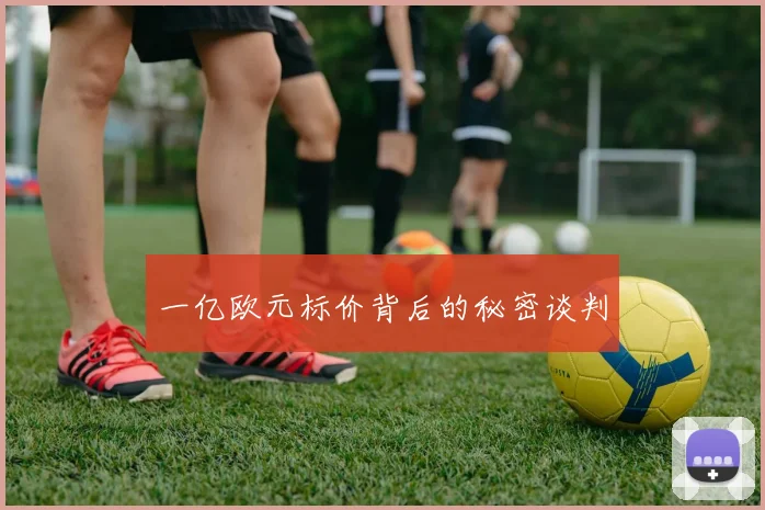 一亿欧元标价背后的秘密谈判