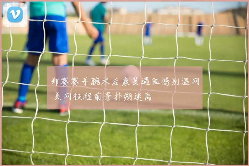 郑赛赛手腕术后康复遇阻憾别温网 美网征程前景扑朔迷离